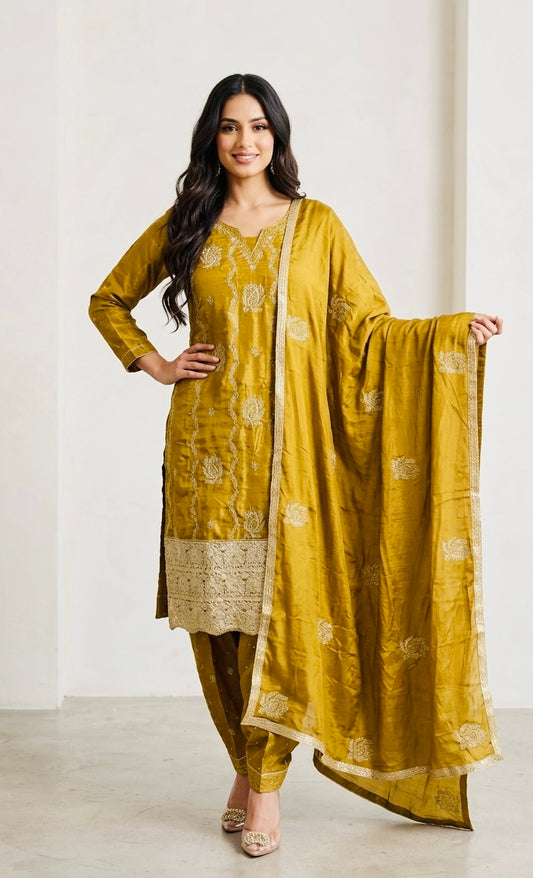 Shimmer salwar suit