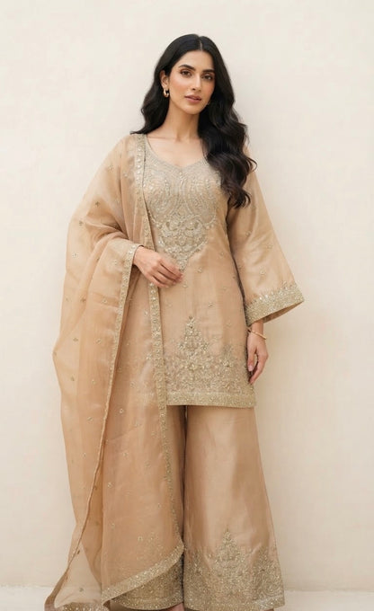 Beautiful sharara suit SF665