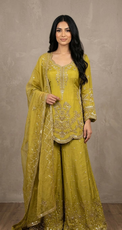 Party wear sharar suit SF622