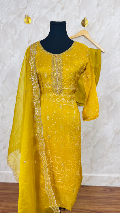 Soft organza banarasi suit