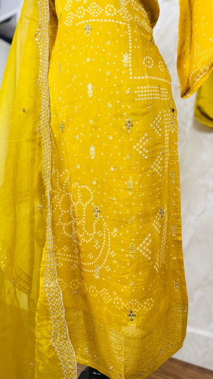 Soft organza banarasi suit