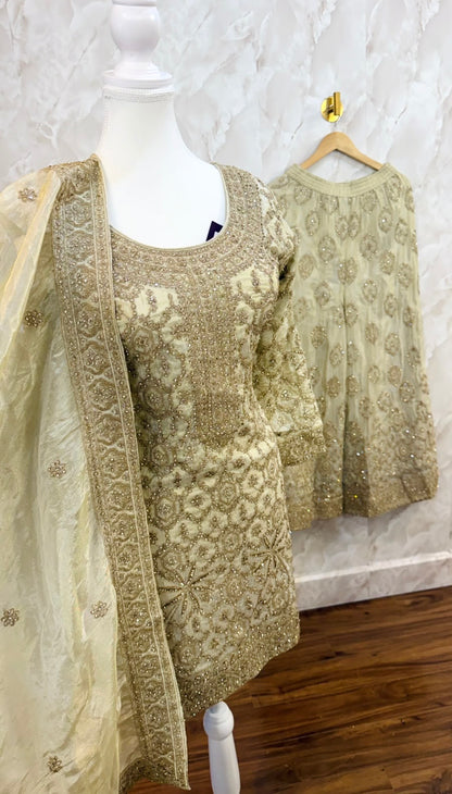 Party wear sharara suit SF689