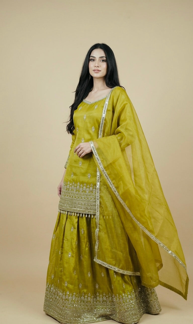 Beautiful heavy lehnga