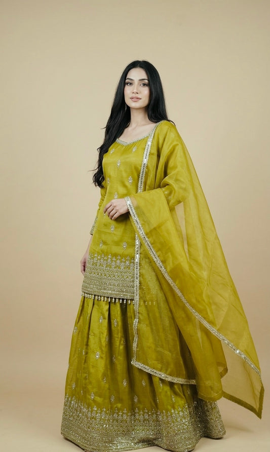 Beautiful heavy lehnga