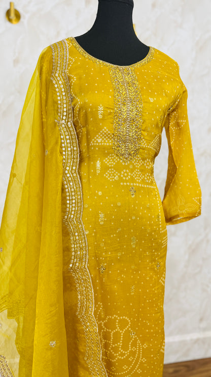 Soft organza banarasi suit
